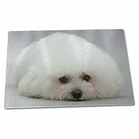 Large Glass Cutting Chopping Board Bichon Frise Dog