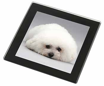 Bichon Frise Dog Black Rim High Quality Glass Coaster