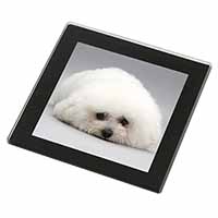 Bichon Frise Dog Black Rim High Quality Glass Coaster