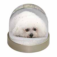 Bichon Frise Dog Snow Globe Photo Waterball