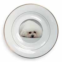 Bichon Frise Dog Gold Rim Plate Printed Full Colour in Gift Box