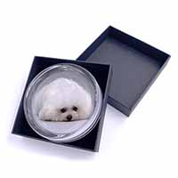 Bichon Frise Dog Glass Paperweight in Gift Box