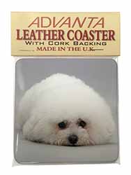 Bichon Frise Dog Single Leather Photo Coaster