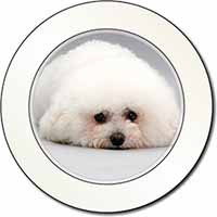Bichon Frise Dog Car or Van Permit Holder/Tax Disc Holder