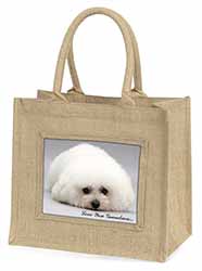 Bichon Frise 