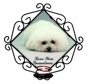 Bichon Frise 