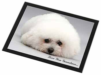 Bichon Frise 