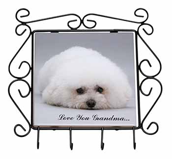 Bichon Frise 