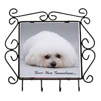 Bichon Frise 