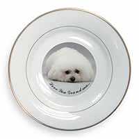 Bichon Frise 