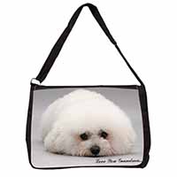 Bichon Frise 