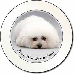 Bichon Frise 