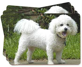 Bichon Frise Dog Picture Placemats in Gift Box