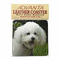 Bichon Frise Dog Single Leather Photo Coaster, Printed Full Colour  - Advanta Gr