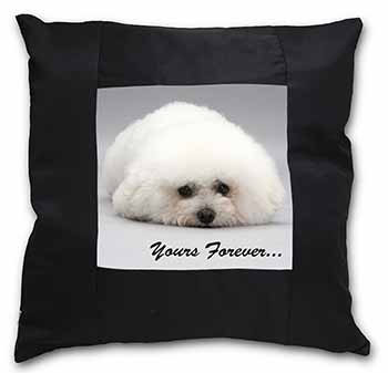 Bichon Frise Dog 