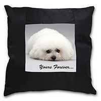 Bichon Frise Dog 