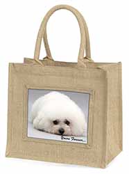 Bichon Frise Dog 