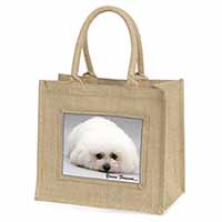 Bichon Frise Dog 