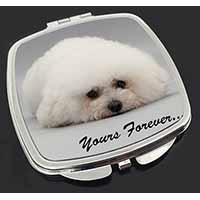 Bichon Frise Dog 