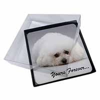 4x Bichon Frise Dog 