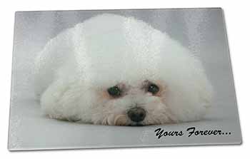 Large Glass Cutting Chopping Board Bichon Frise Dog 