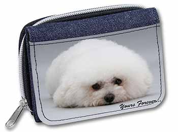 Bichon Frise Dog 