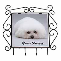 Bichon Frise Dog 