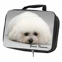 Bichon Frise Dog 