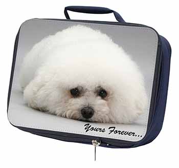 Bichon Frise Dog 