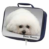 Bichon Frise Dog 