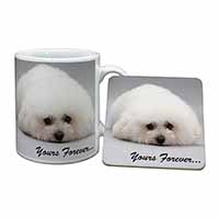 Bichon Frise Dog 