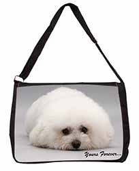 Bichon Frise Dog 