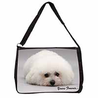 Bichon Frise Dog 