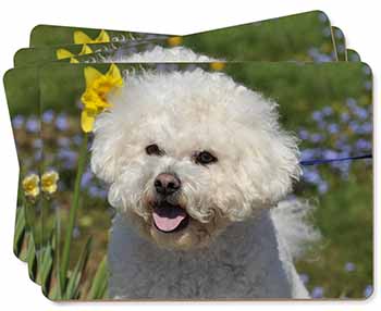 Bichon Frise Dog Picture Placemats in Gift Box