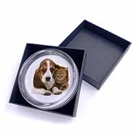 Basset Hound Dog and Cat Glass Paperweight in Gift Box