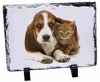 Basset Hound Dog and Cat, Stunning Photo Slate