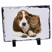 Basset Hound Dog and Cat, Stunning Photo Slate