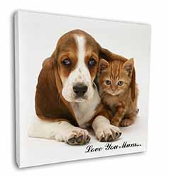 Basset and Cat 