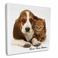 Basset and Cat 