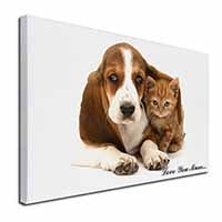 Basset and Cat 