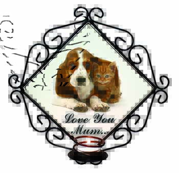 Basset and Cat 