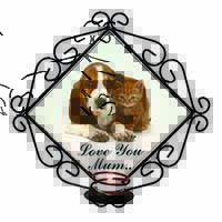 Basset and Cat 