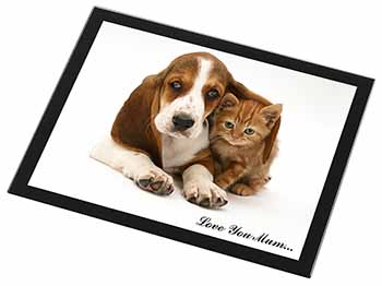 Basset and Cat 