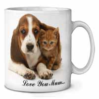 Basset and Cat 
