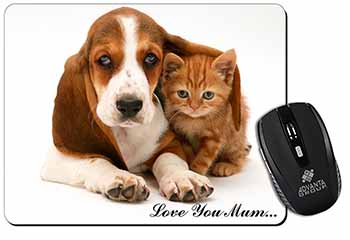 Basset and Cat 