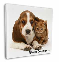 Basset Hound and Cat 