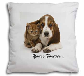 Basset Hound and Cat 