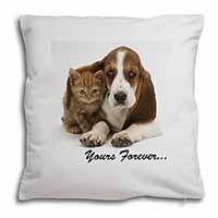 Basset Hound and Cat 