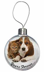 Basset Hound and Cat 