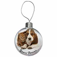 Basset Hound and Cat 